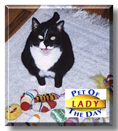 Lady, the Pet of the Day