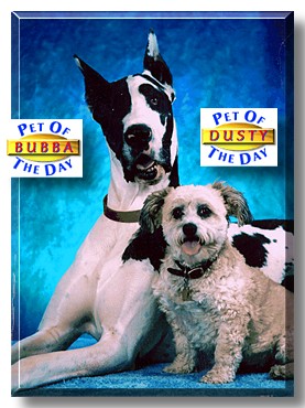 Bubba, Dusty, the Pets of the Day