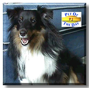 PJ, the Pet of the Day