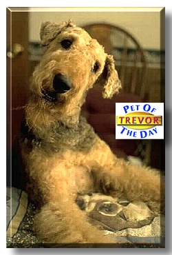 Trevor, the Pet of the Day