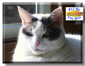 Monina, the Pet of the Day