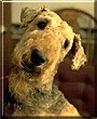 Trevor