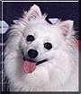 Kawai