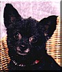 Missy