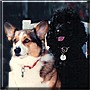 Zoe, Bobo