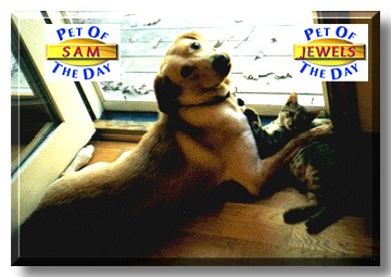 Sam and Jewels, the Pets of the Day