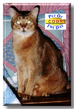 Cody, the Pet of the Day