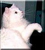 Wilma