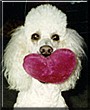 Josie