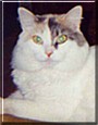 Miss Daisy