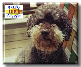 Eubie, the Pet of the Day