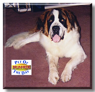 Brunhilde, the Pet of the Day