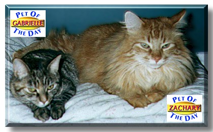 Gabrielle & Zachary, the Pet of the Day