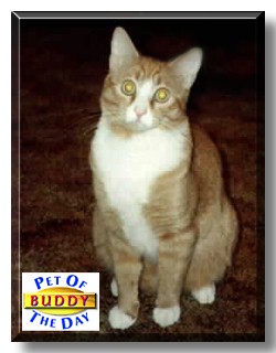 Buddy, the Pet of the Day