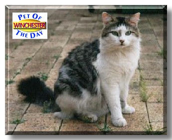 Winchester, the Pet of the Day