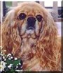 Sophie