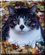 Simon