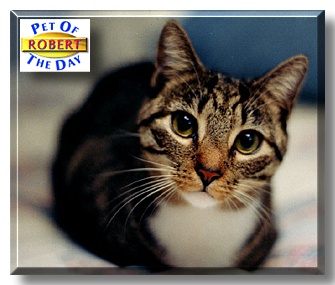 Robert, the Pet of the Day