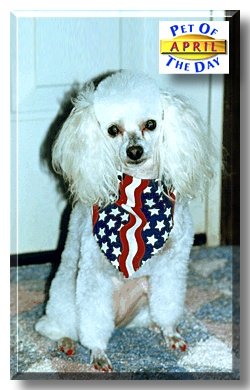 April, the Pet of the Day