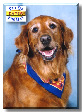 Kayla, the Pet of the Day