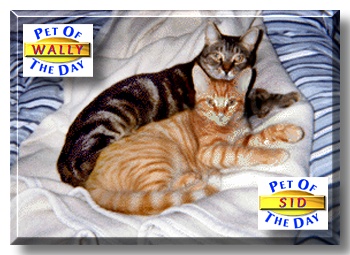 Wally and Sid, the Pet of the Day