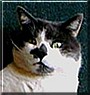 Smudge