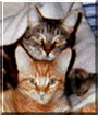 Wally and Sid