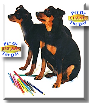 Jesse James, Chanel, the Pets of the Day