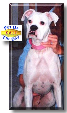Kali, the Pet of the Day