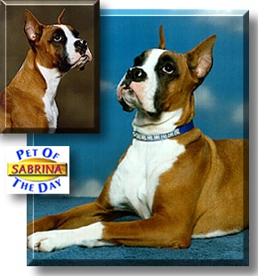 Sabrina, the Pet of the Day