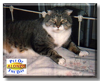 Alonzo, the Pet of the Day