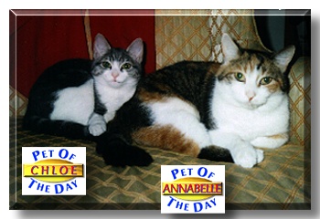 Chloe, Annabelle, the Pets of the Day