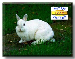 Issabella, the Pet of the Day