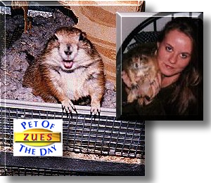 Zues, the Pet of the Day