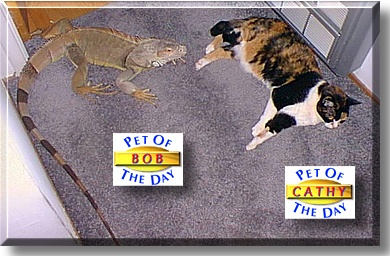Bob and Cathy, the Pet of the Day