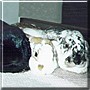 Max, Joey, Billy