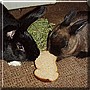 Mr. Bunny, Buster