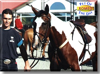 Rodeo Romeo, the Pet of the Day