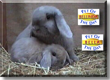 Bellinda and Bella, the Pet of the Day