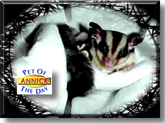 Annick, the Pet of the Day