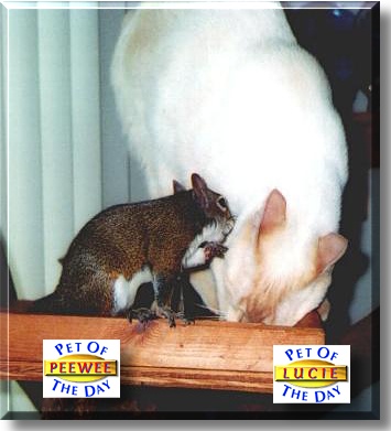 Lucie and Peewee, the Pets of the Day