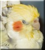Benjie