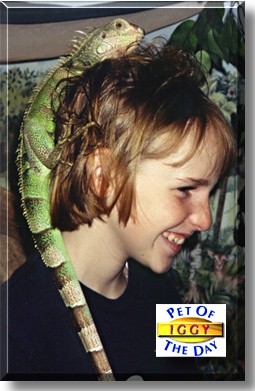 Iggy, the Pet of the Day