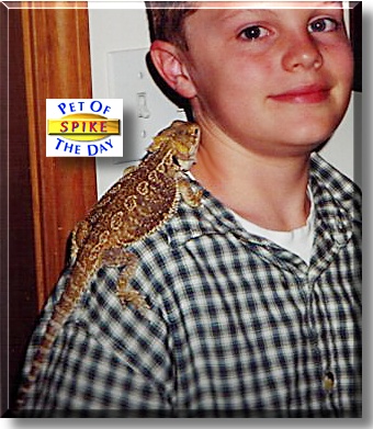 Spike, the Pet of the Day