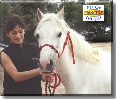 Princess, the Pet of the Day