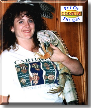 Godzilla, the Pet of the Day