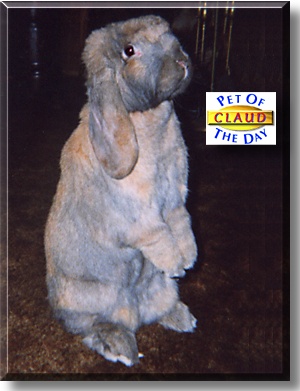 Claud, the Pet of the Day