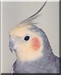 Sam