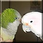 Beaker, Bailey