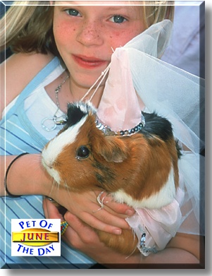 June, the Pet of the Day